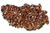Large, Ruby Red Vanadinite Crystal Aggregation - Morocco #104759-1
